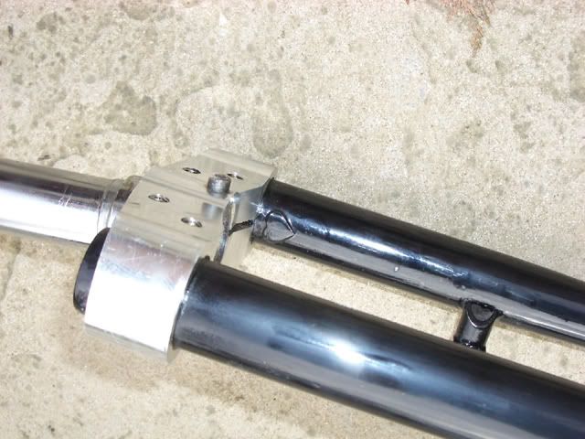 IMGP1369.jpg