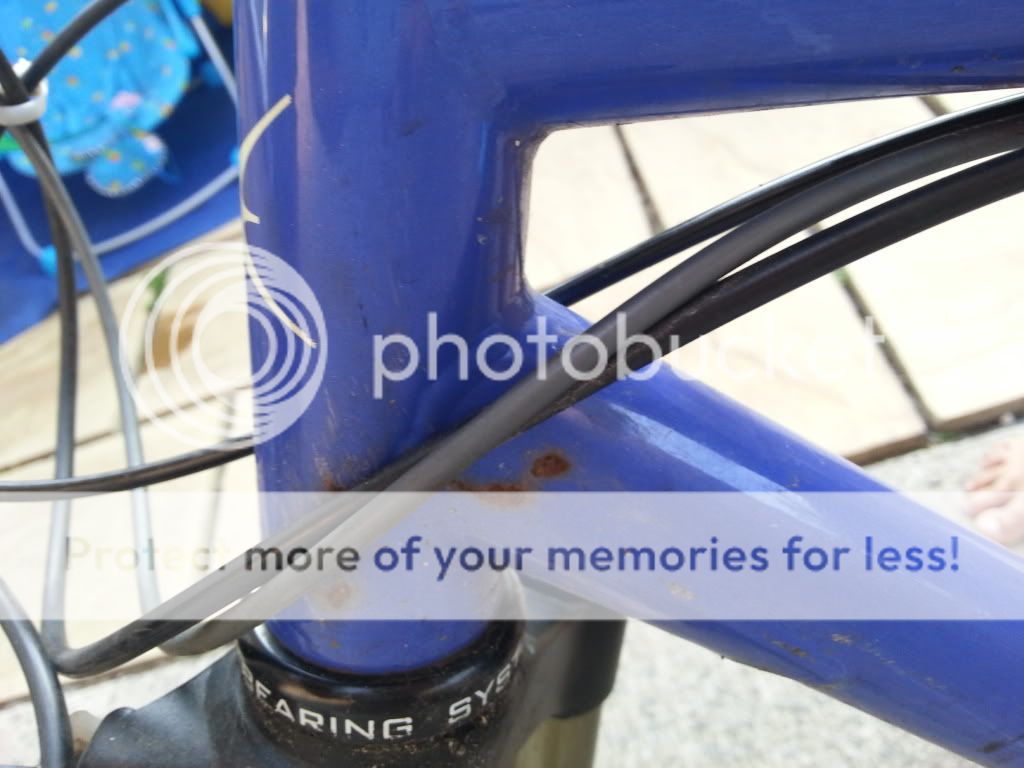 20130718_072449_zpscdfdce7b.jpg