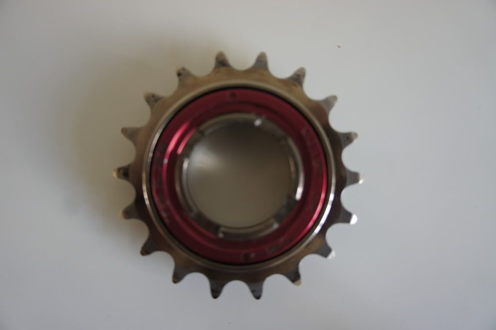 DSC00514.jpg