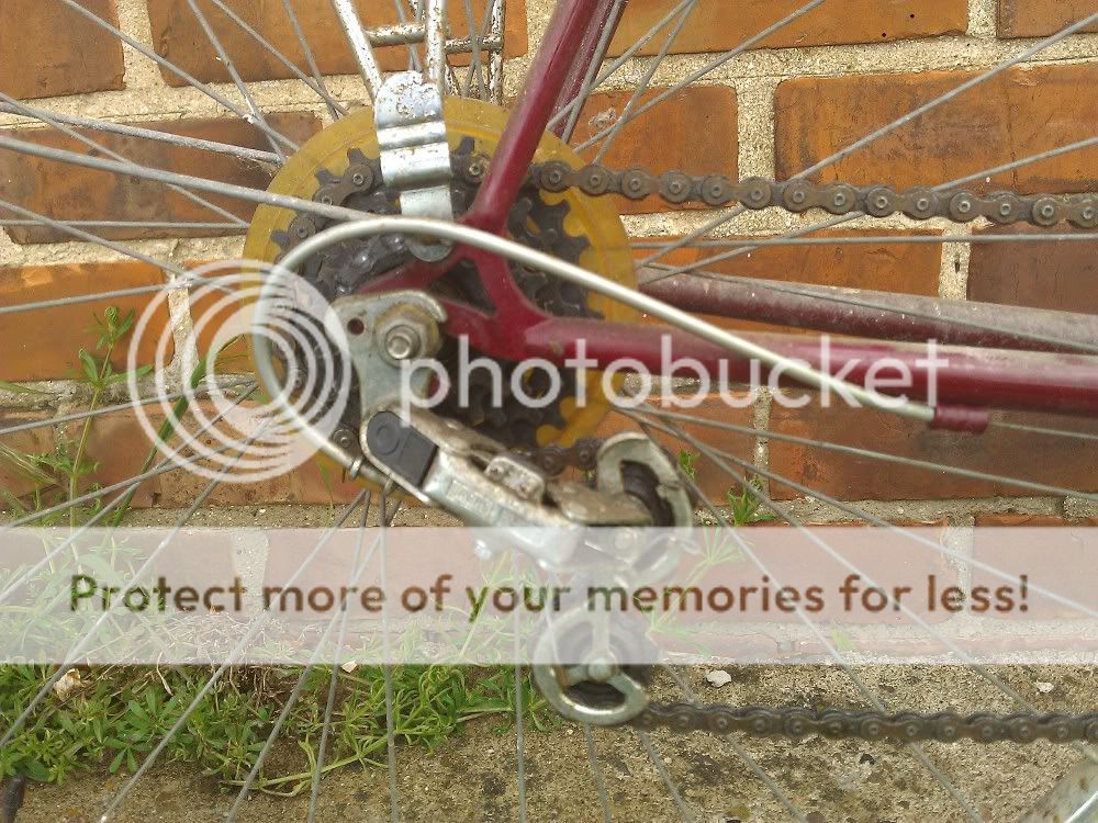 raleigh3.jpg