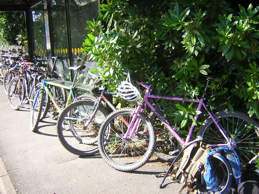 DSCN2437.jpg