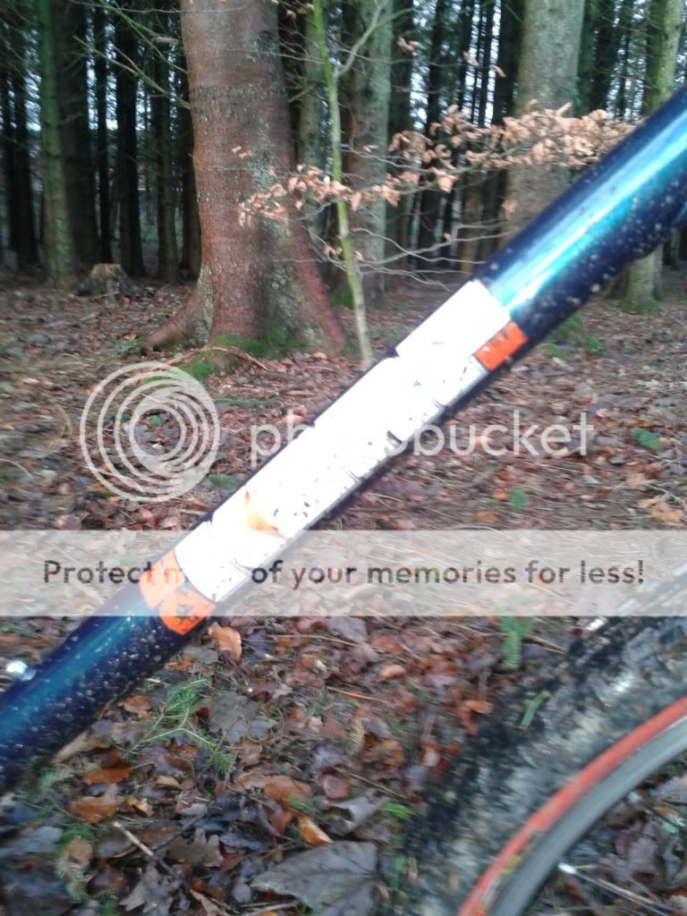2011-12-11115420.jpg