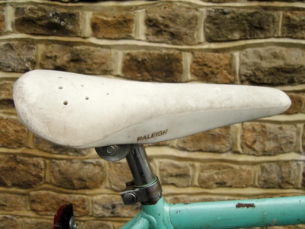 SNC10237.jpg