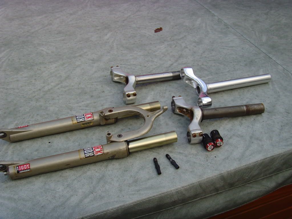 SNV36133.jpg