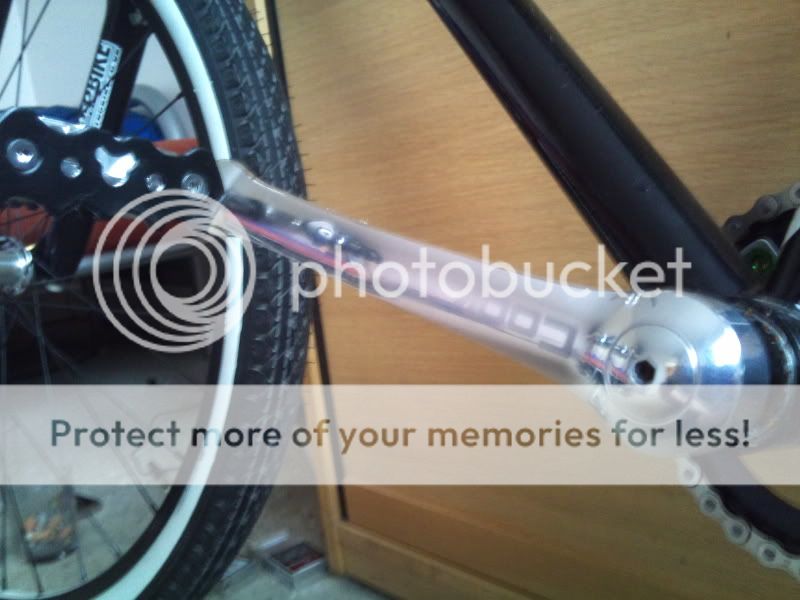 2010-11-18111648.jpg