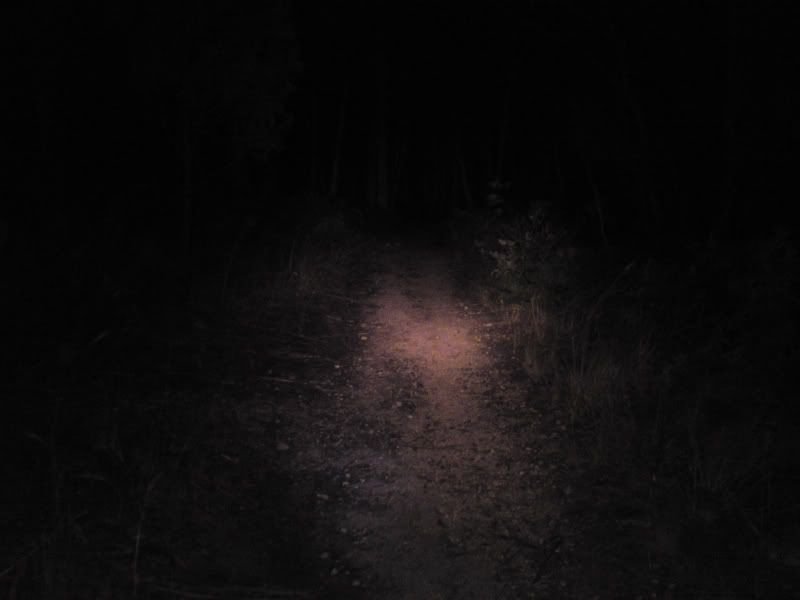 DSC00762.jpg