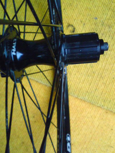 DSC01460.jpg