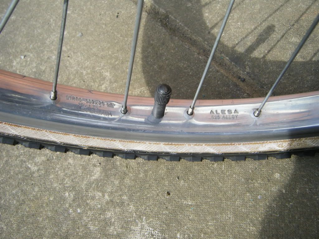 dscf2846.jpg