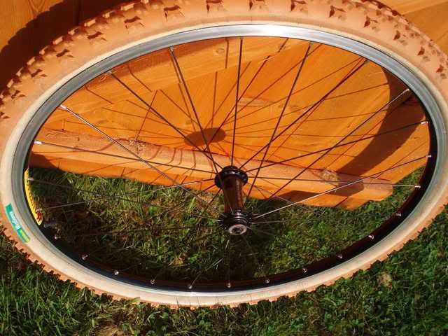 bont3.jpg