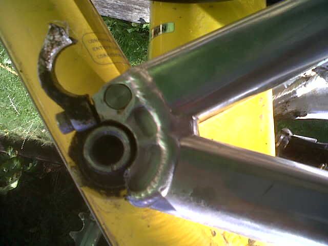 IMG00446-20110919-1115.jpg