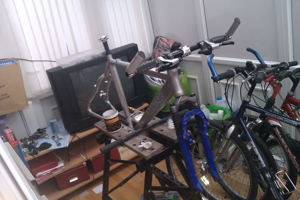 IMAG0457.jpg