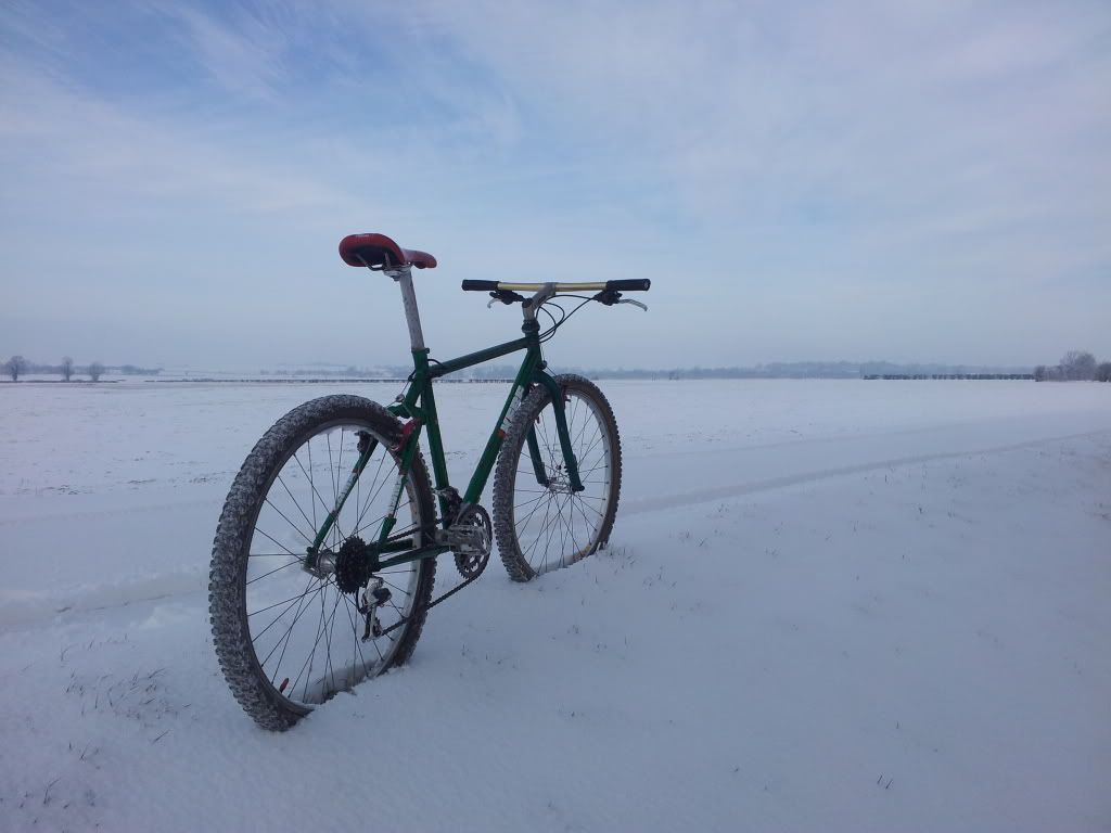 20120205_102347.jpg