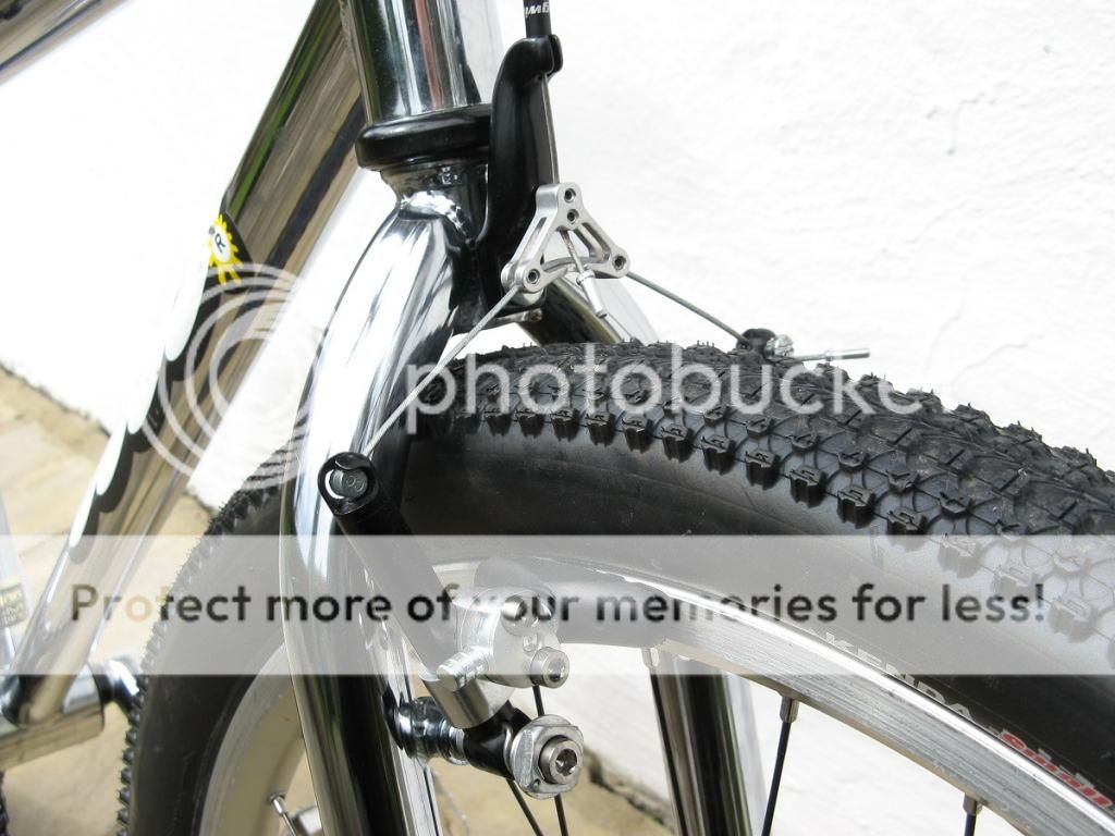 IMG_3233_zpse22f3dbd.jpg