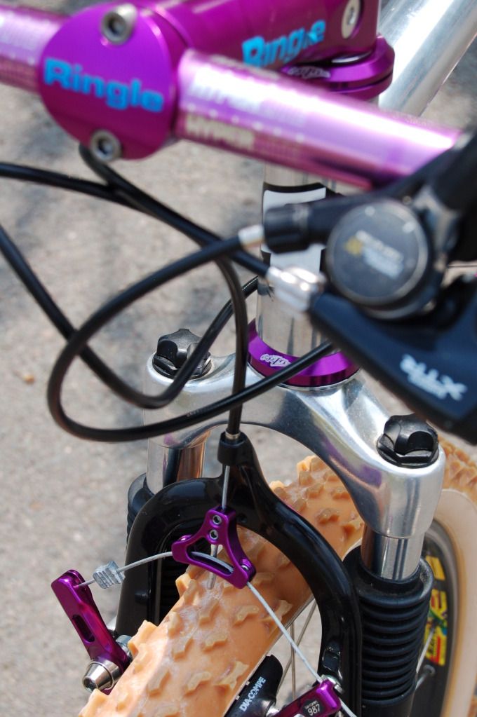 Zaskar_purp012.jpg