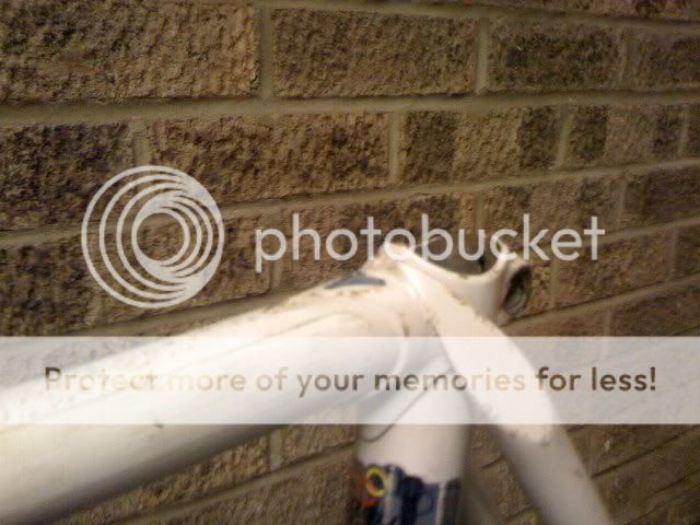 photo4_640x480.jpg