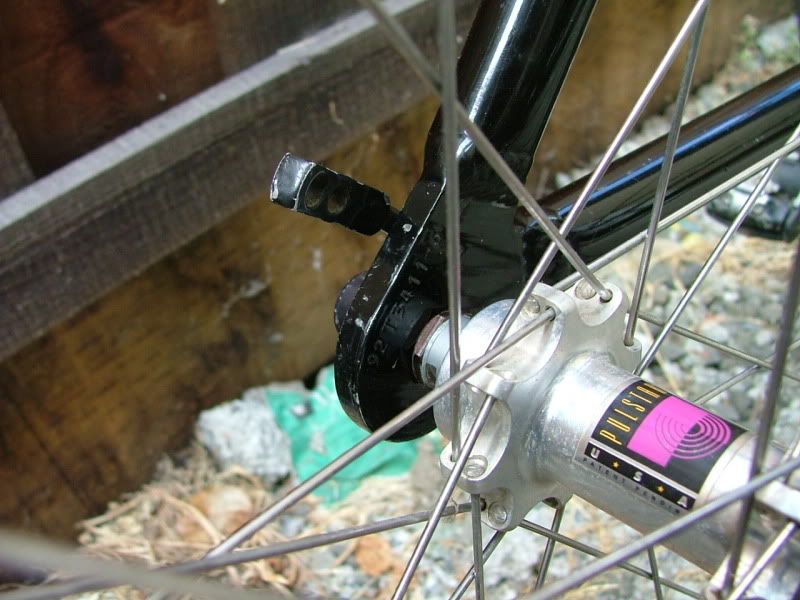 DSCF4286.jpg