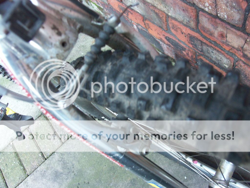 bikesandporsche042.jpg
