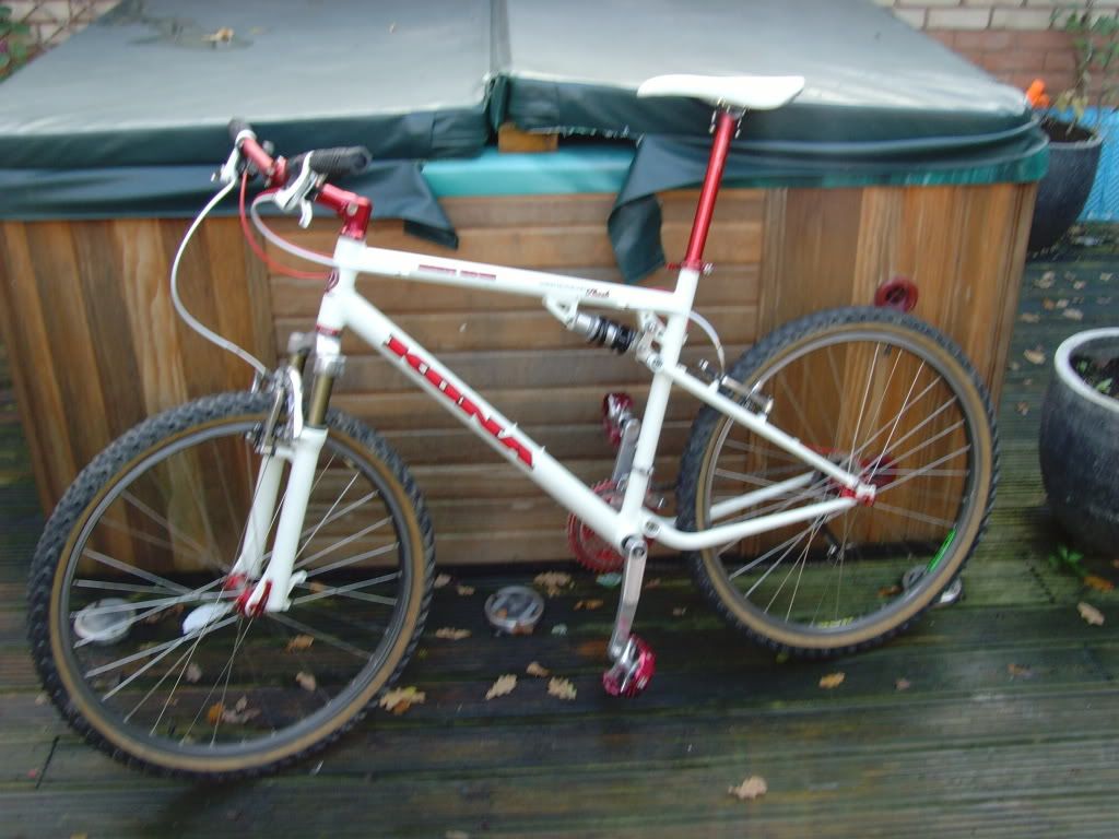 SNV34752.jpg