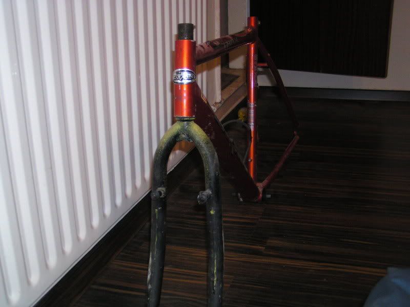 24-11-08002.jpg
