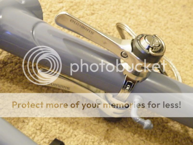 DSCF6162.jpg