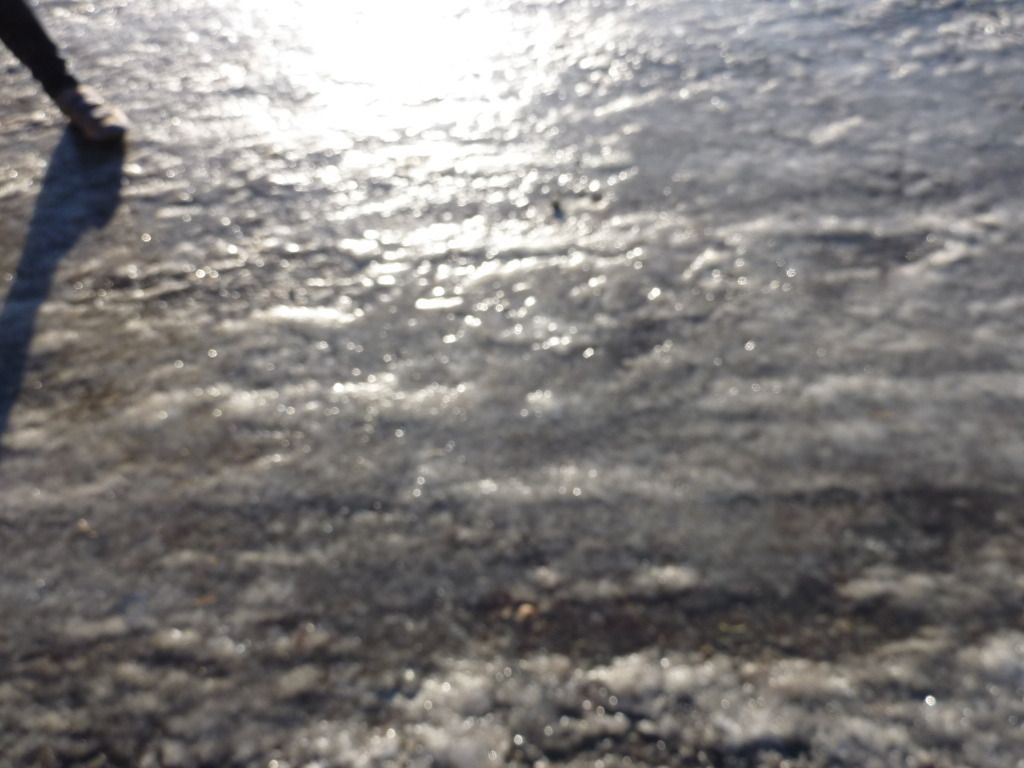 P1050025.jpg