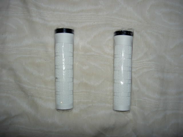 PICT5746.jpg
