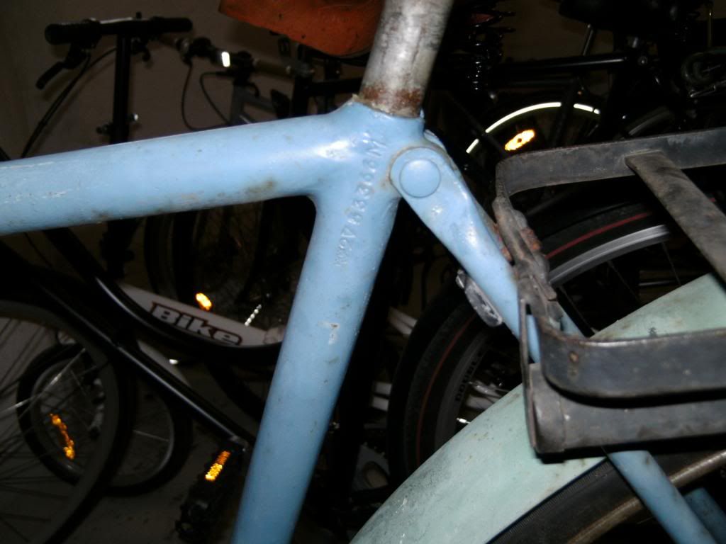 PICT4124_zpse595e1fe.jpg