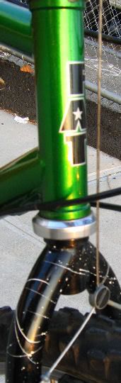 IMG_4313.jpg