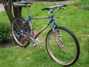 BoTM May 2012 is Wadsy's Dave Lloyd Beez Neez 