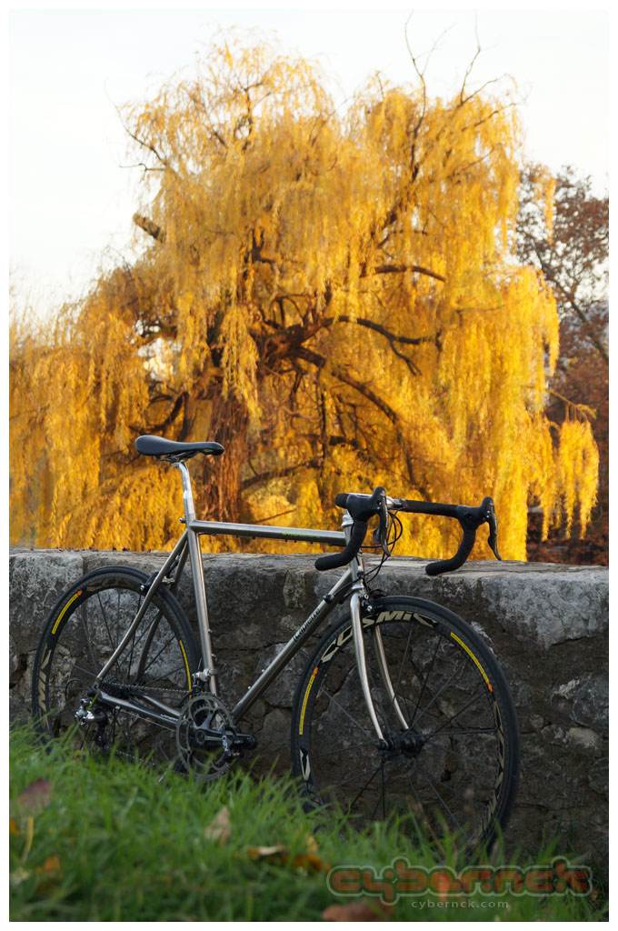 cybernck-lapierre1.jpg