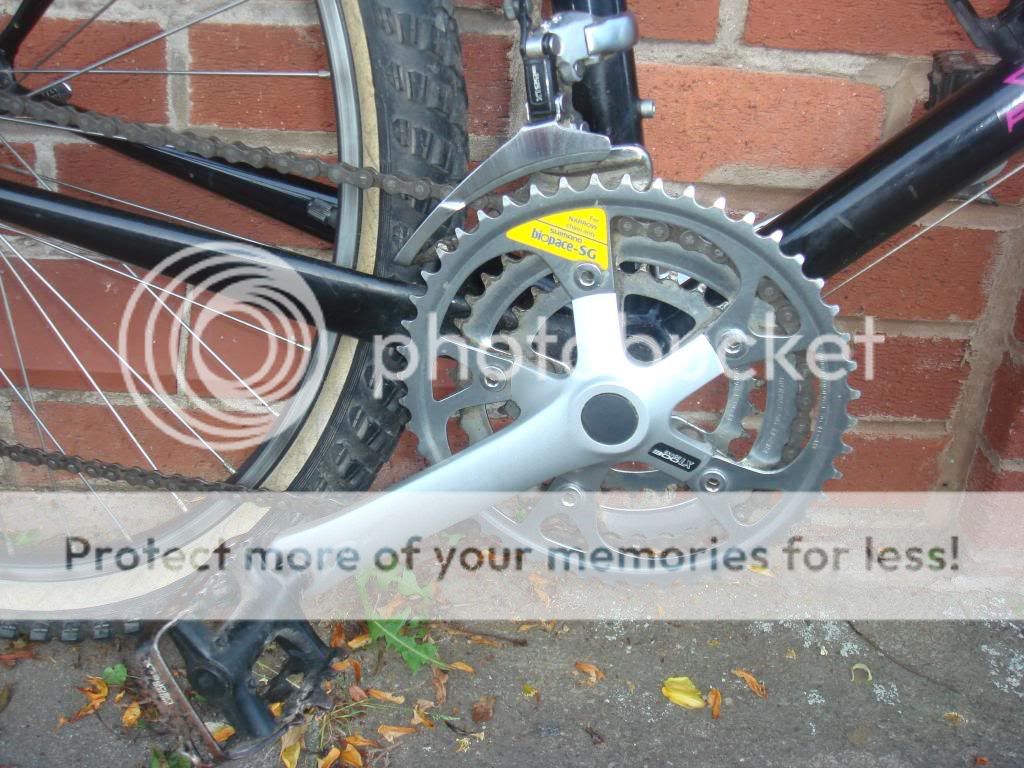 DSC07446.jpg