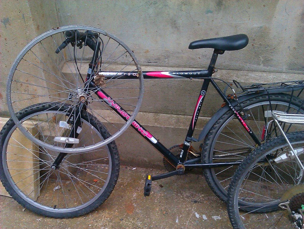 IMAG0429.jpg