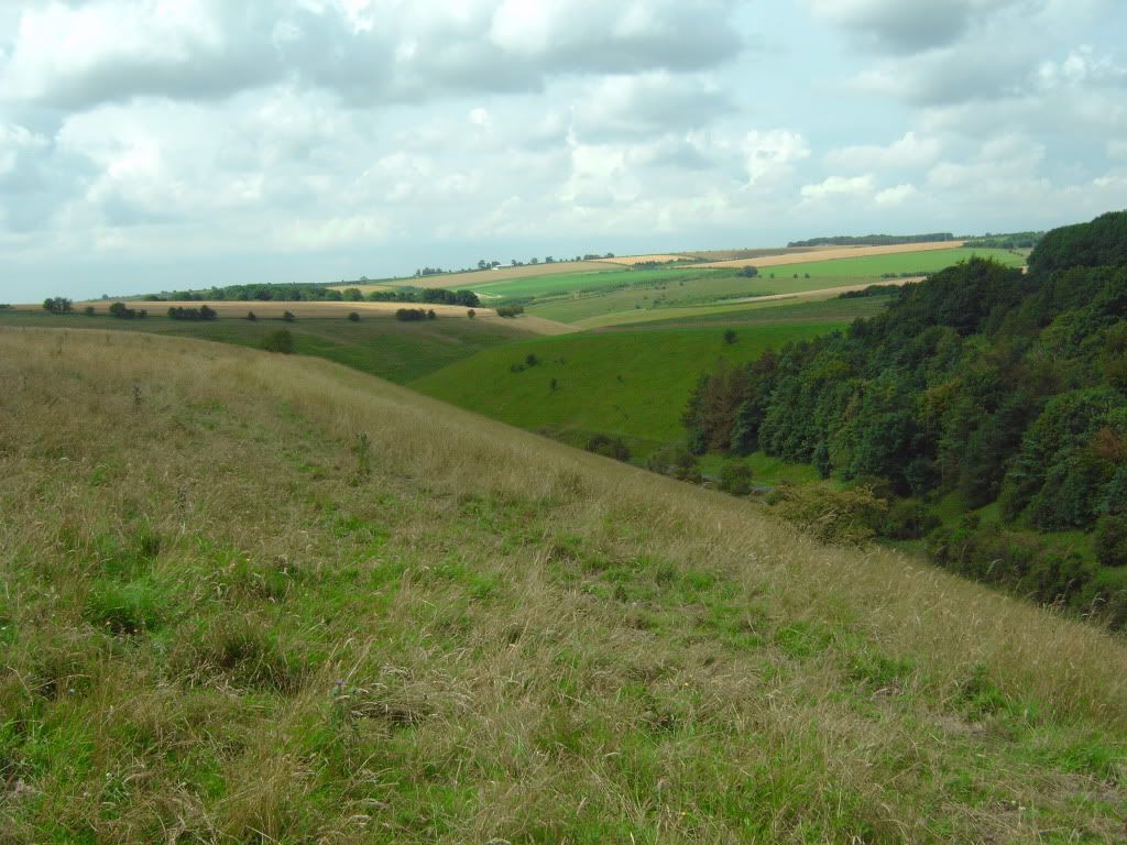 IMG00439.jpg