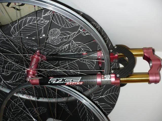 P1000990.jpg