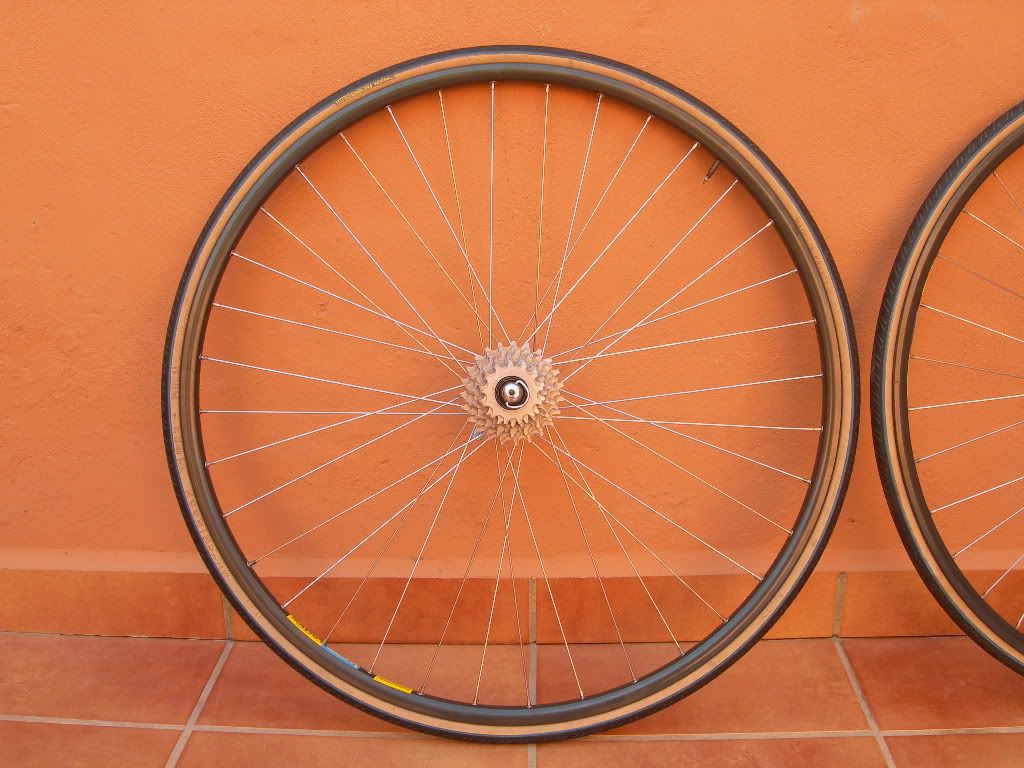DSCN9376.jpg