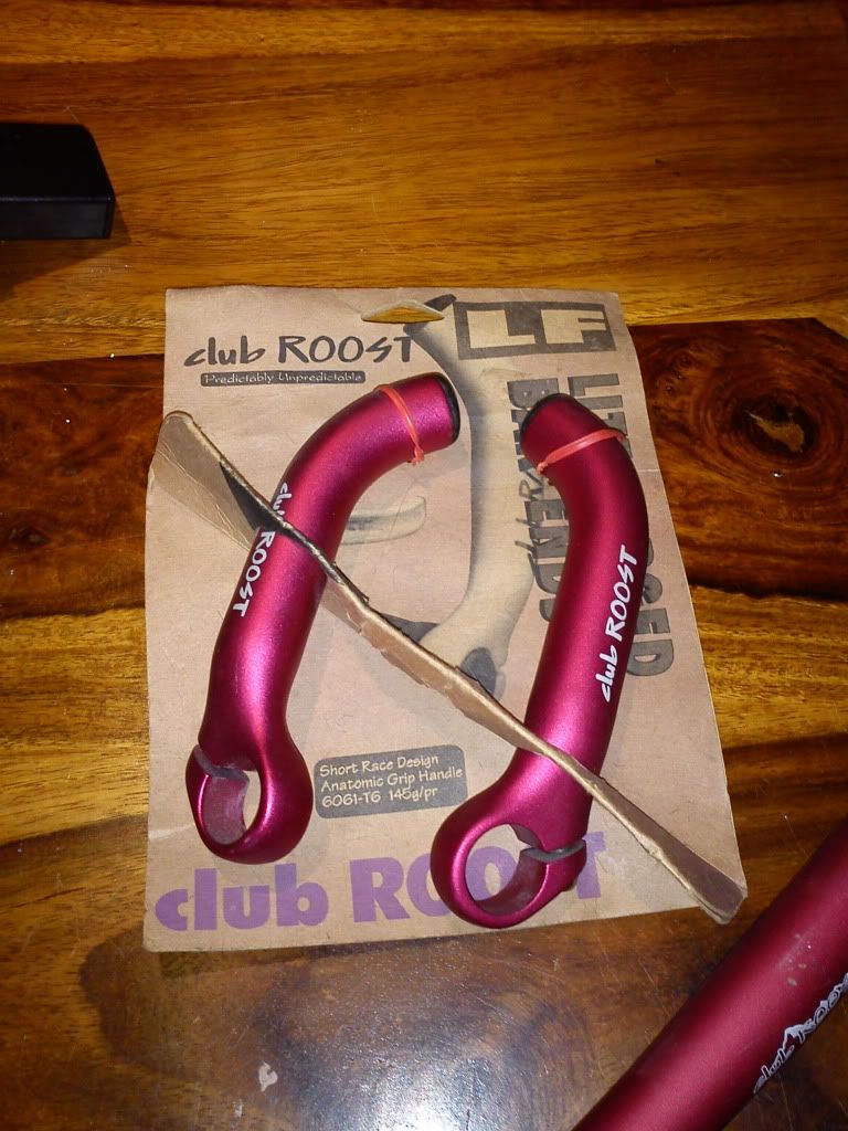 DSC00238.jpg