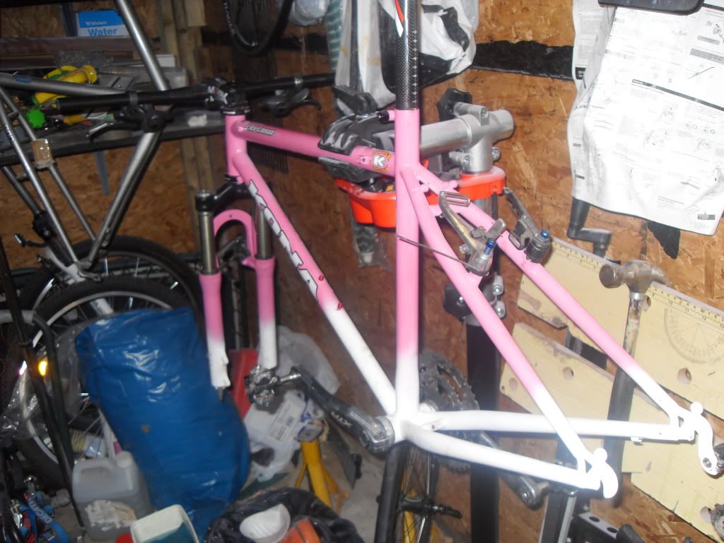 konapicture2010015.jpg