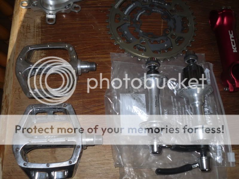 SDC14691.jpg