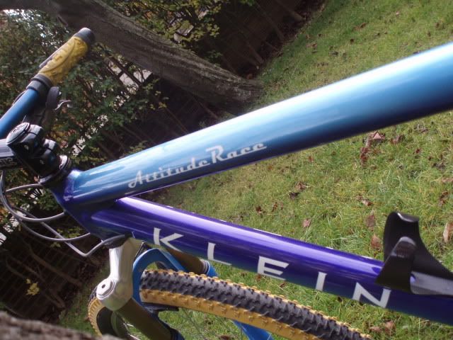 MISBICIS065.jpg