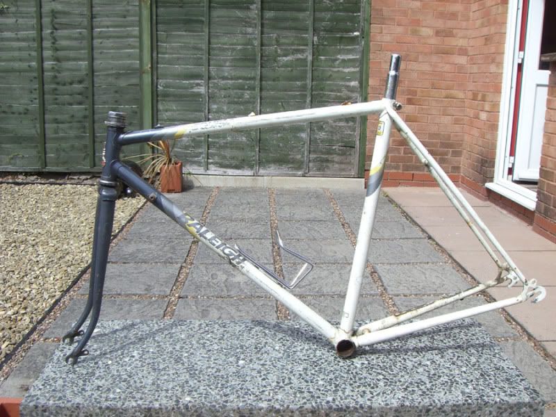 pic1.jpg