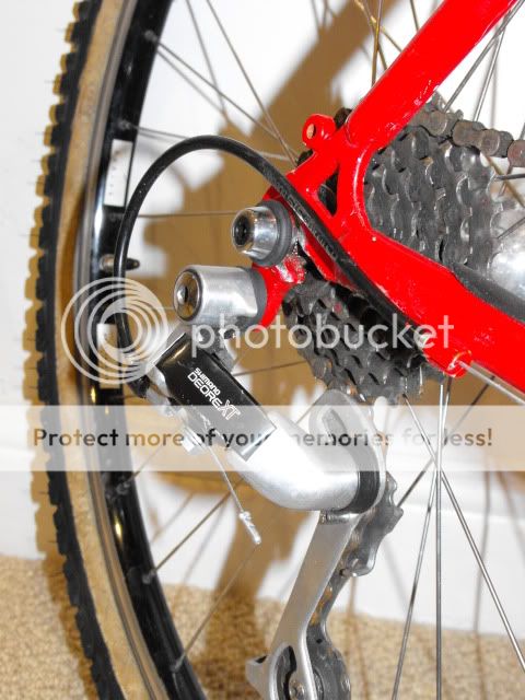 Stumpy027.jpg