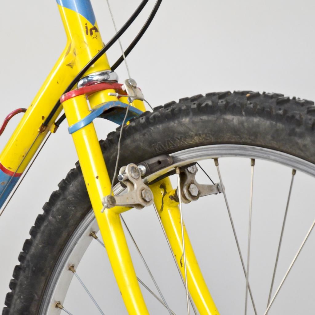vtgsalsamtb-9.jpg