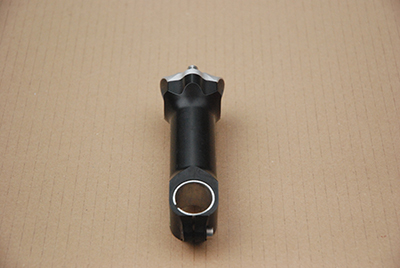 reynolds_stem_03.JPG