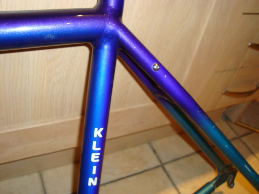 Adambike004-1.jpg