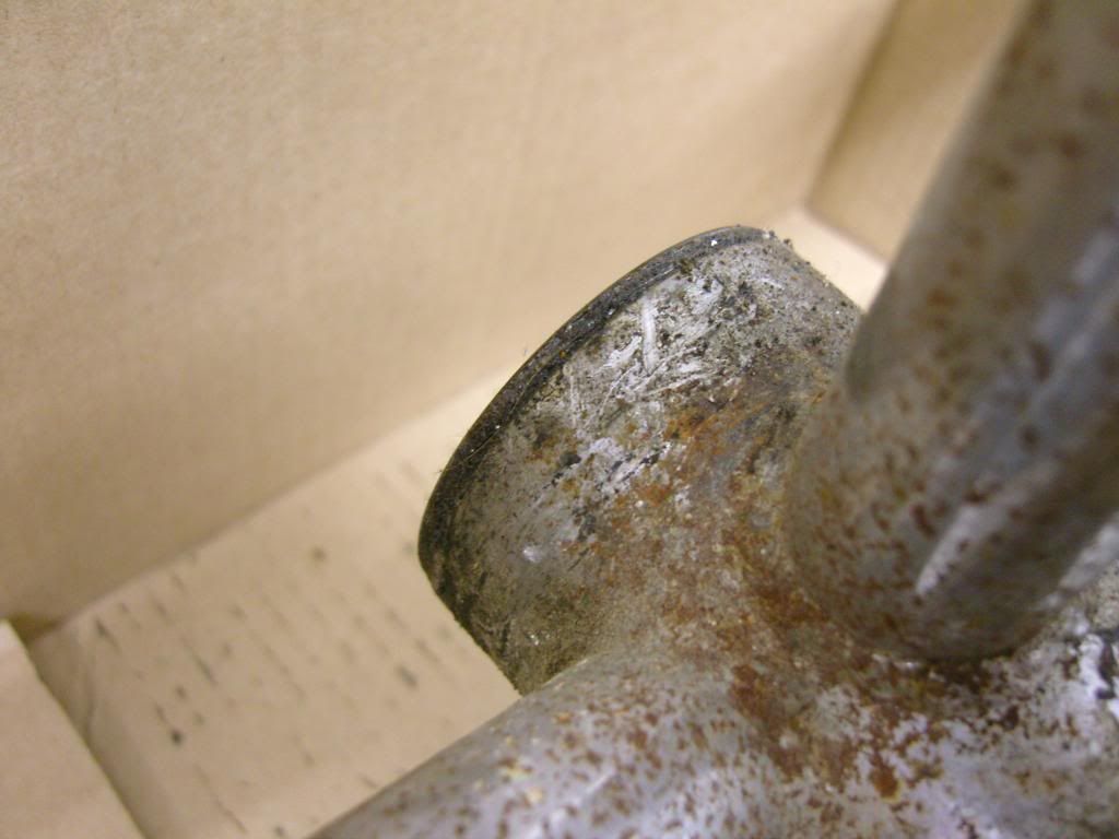 SNC17109.jpg