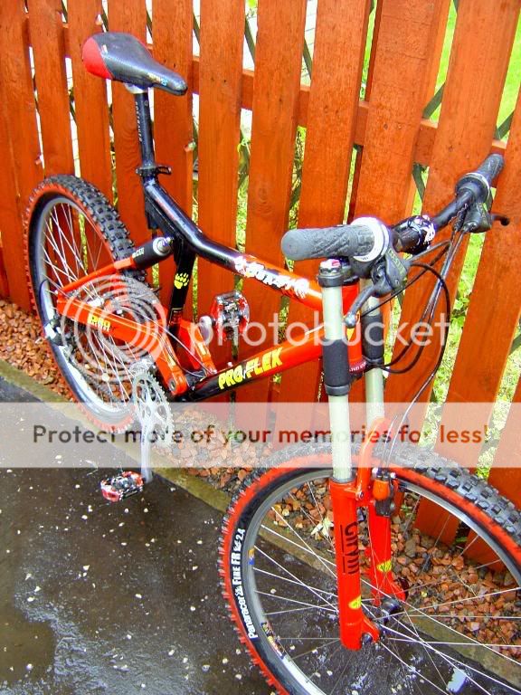 proflex4.jpg