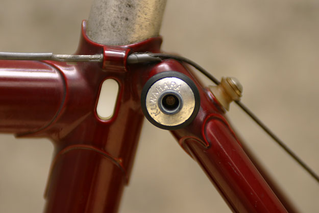 kuwahara-grasshopper-2.jpg