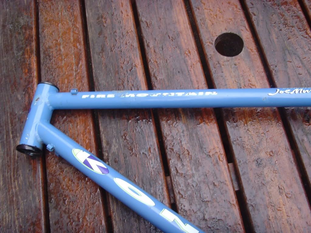 SNV34371.jpg