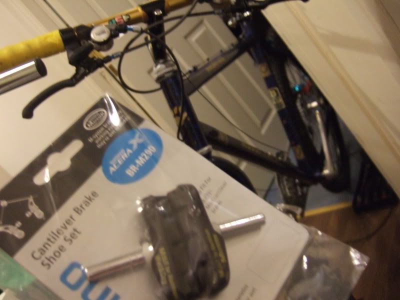 DSCF4815.jpg