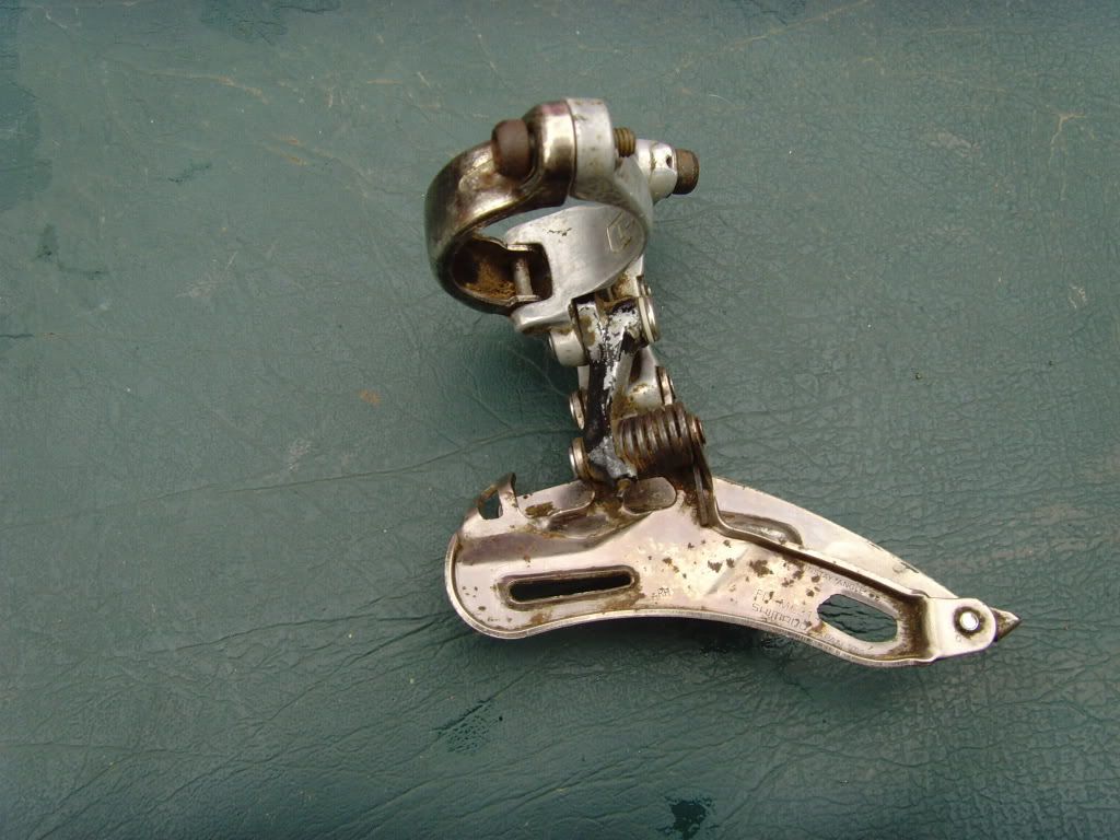 SNV35390.jpg